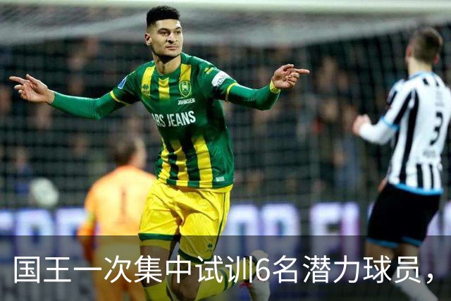 国王一次集中试训6名潜力球员，但他们极有可能成为落选秀？