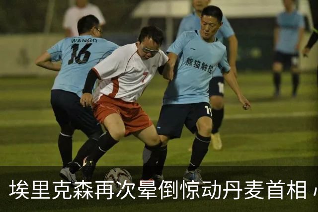 埃里克森再次晕倒惊动丹麦首相 心脏除颤器发挥作用
