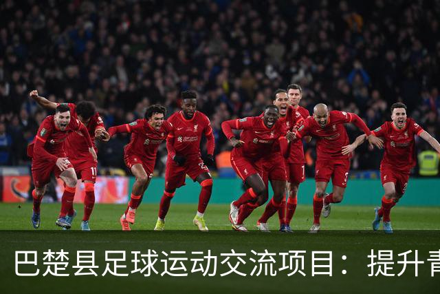 巴楚县足球运动交流项目：提升青少年足球水平的关键举措