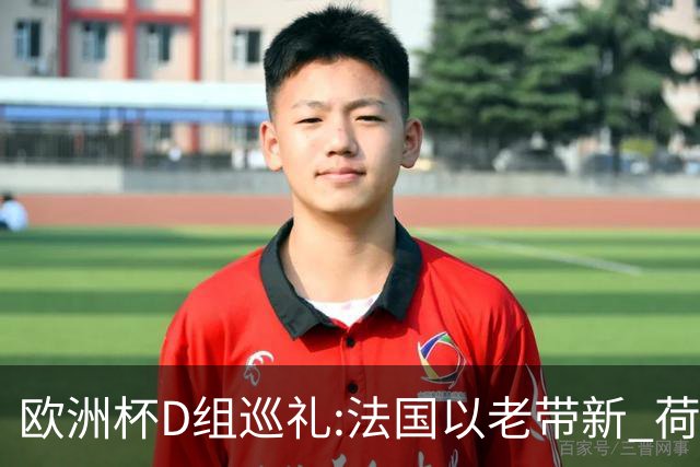 欧洲杯D组巡礼:法国以老带新 荷兰豪华后防