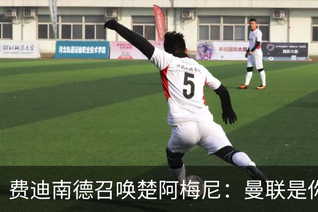 费迪南德召唤楚阿梅尼：曼联是你的唯一归宿，想成事的话就来吧！